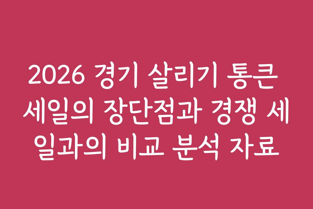 2026 경기 살리기 통큰 세일의 장단점과 경쟁 세일과의 비교 분석 자료