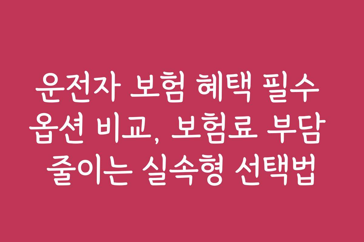 운전자 보험 혜택 필수 옵션 비교, 보험료 부담 줄이는 실속형 선택법