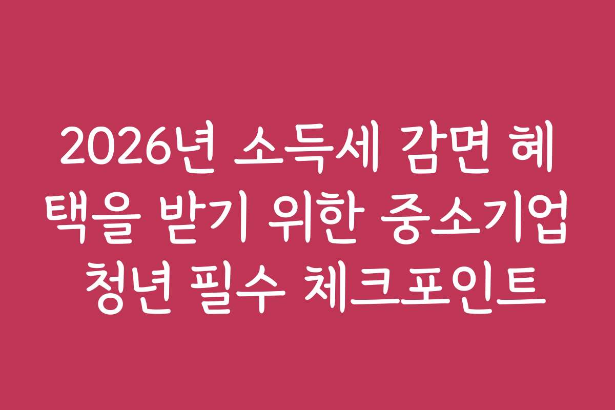 2026년 소득세 감면 혜택을 받기 위한 중소기업 청년 필수 체크포인트