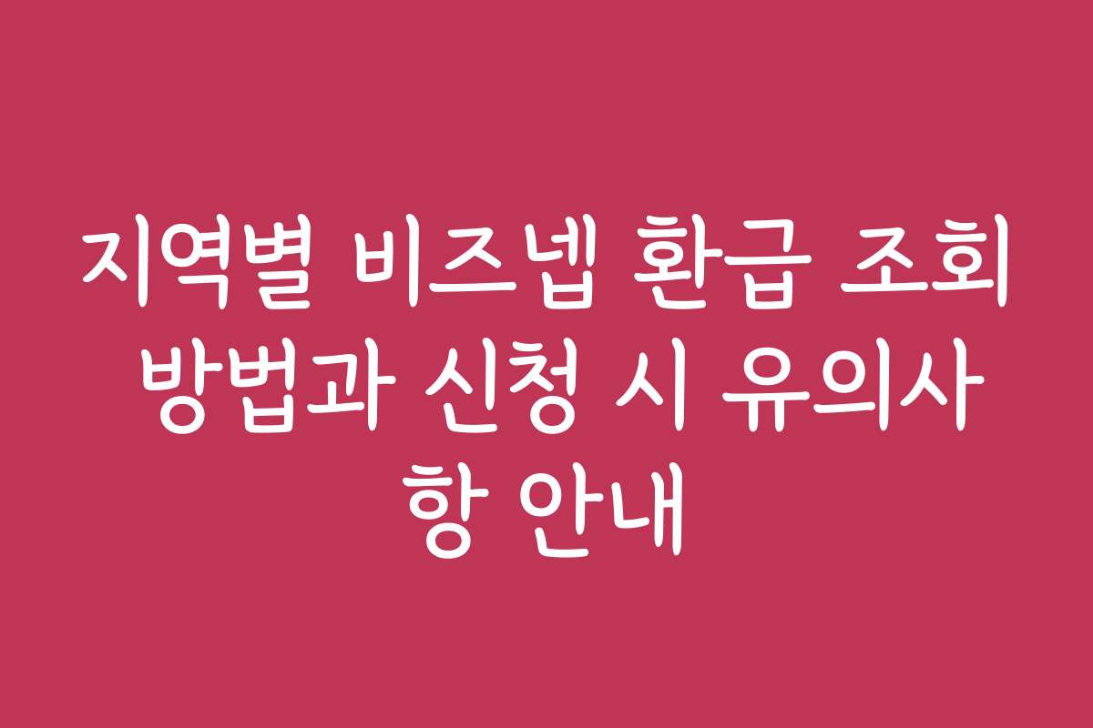지역별 비즈넵 환급 조회 방법과 신청 시 유의사항 안내
