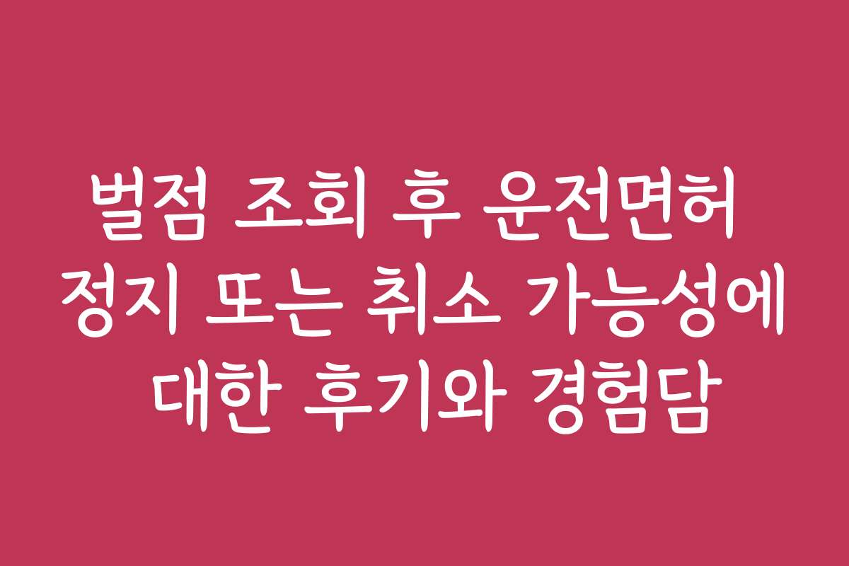 벌점 조회 후 운전면허 정지 또는 취소 가능성에 대한 후기와 경험담