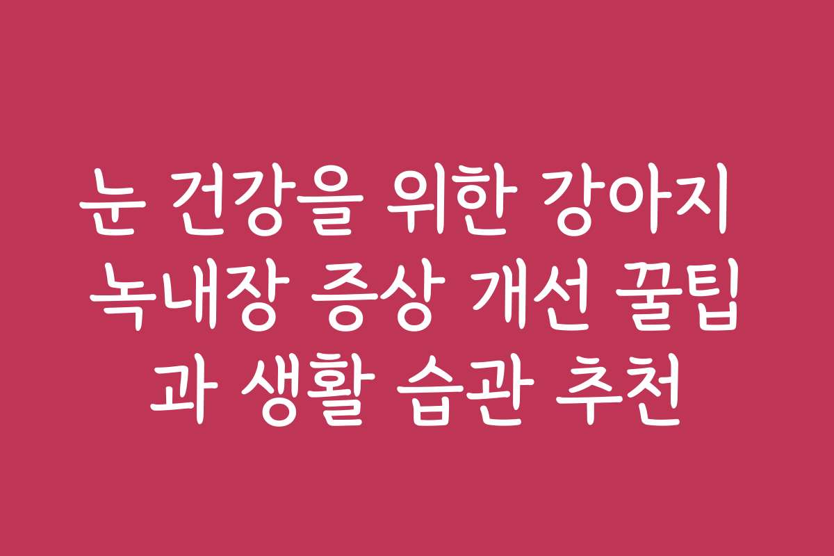 눈 건강을 위한 강아지 녹내장 증상 개선 꿀팁과 생활 습관 추천