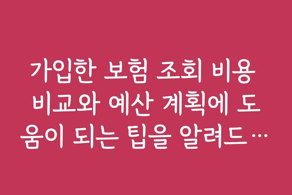 가입한 보험 조회 비용 비교와 예산 계획에 도움이 되는 팁을 알려드립니다