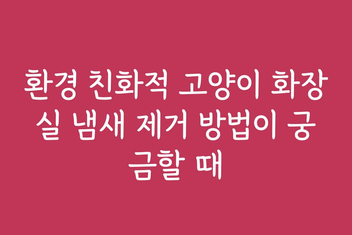 환경 친화적 고양이 화장실 냄새 제거 방법이 궁금할 때