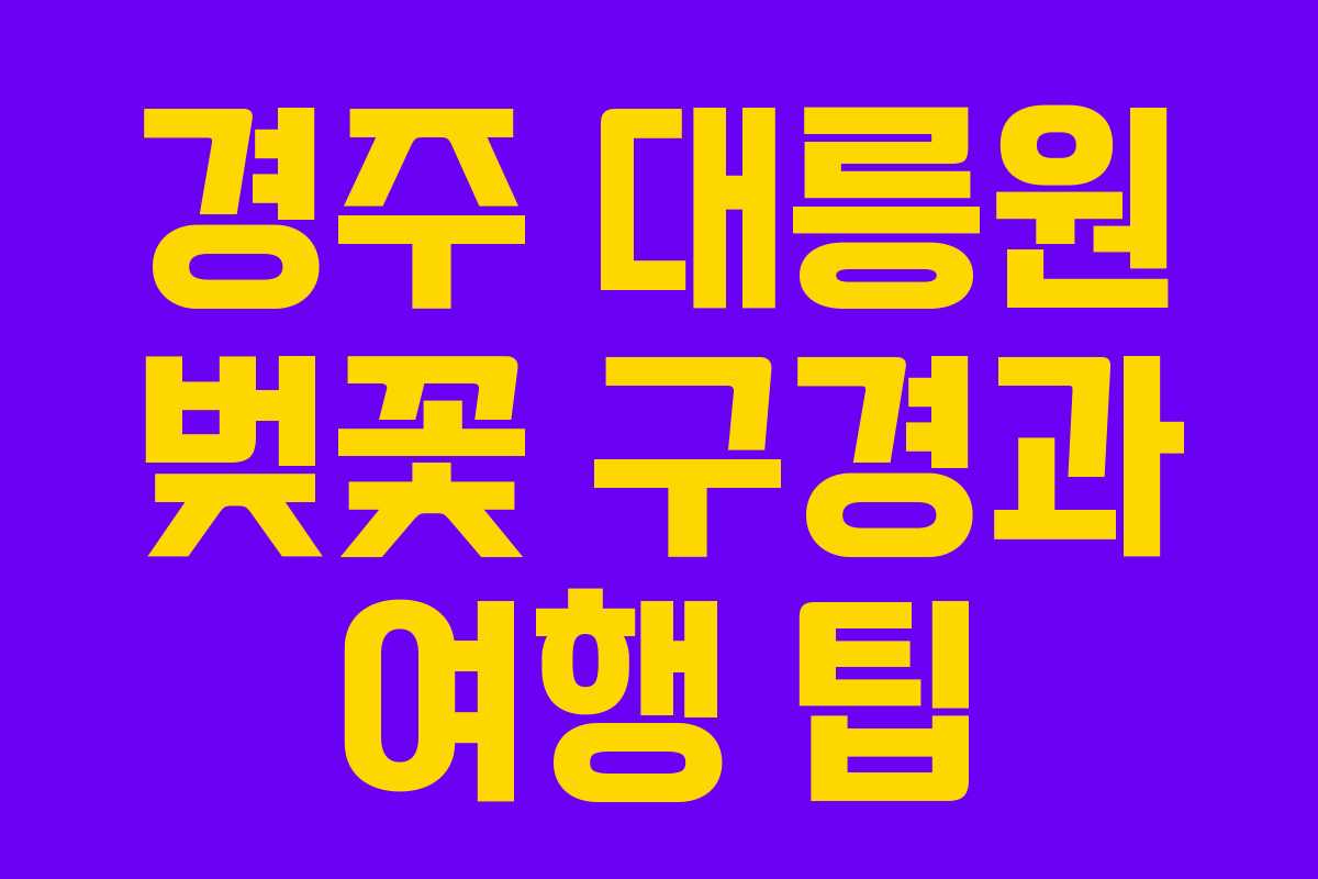 경주 대릉원 벚꽃 구경과 여행 팁