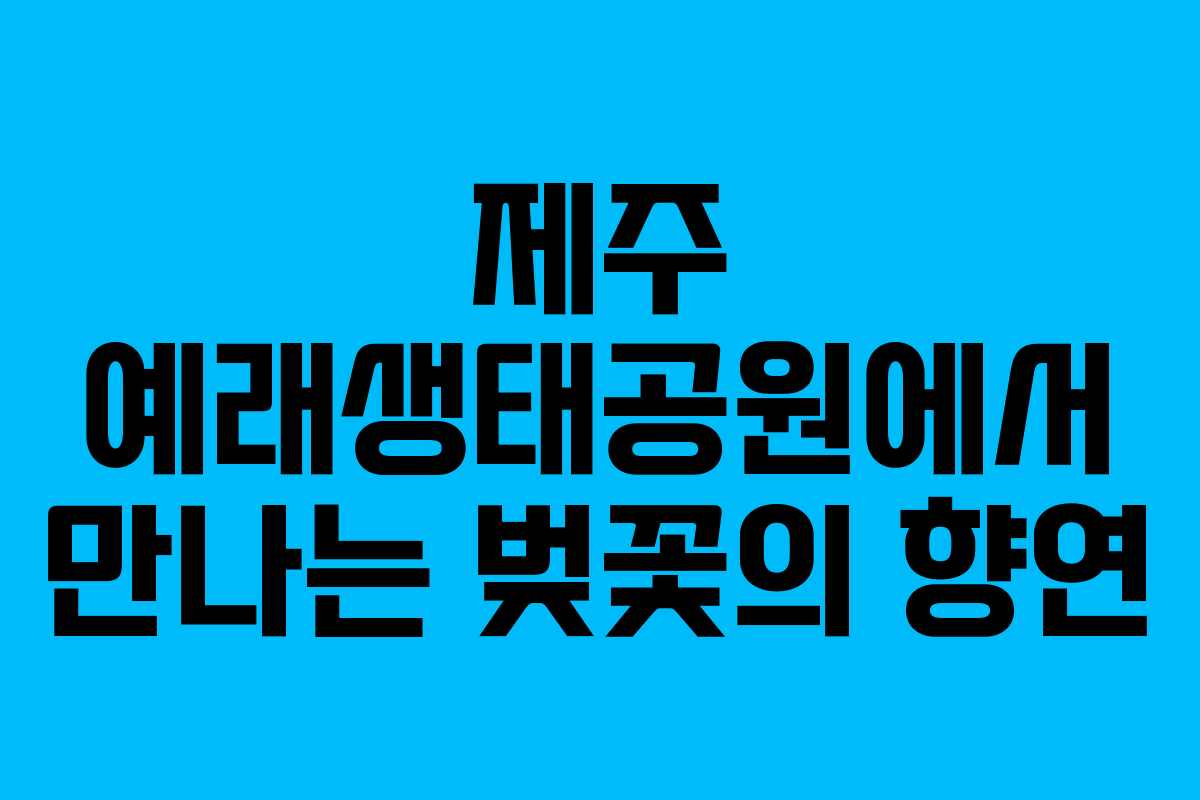 제주 예래생태공원에서 만나는 벚꽃의 향연