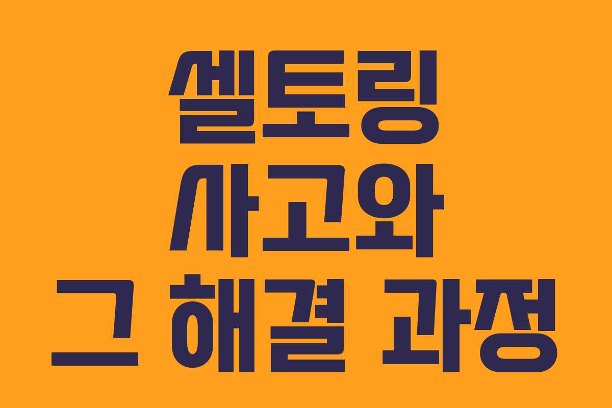 셀토링 사고와 그 해결 과정