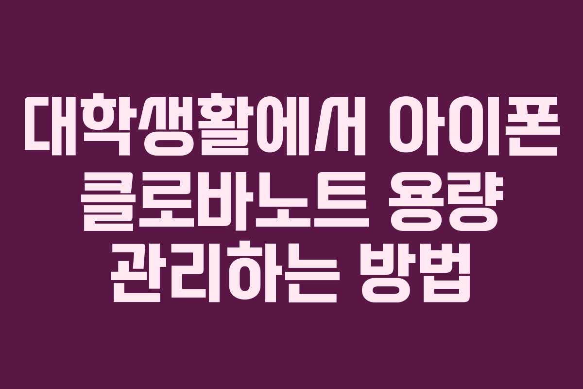 대학생활에서 아이폰 클로바노트 용량 관리하는 방법