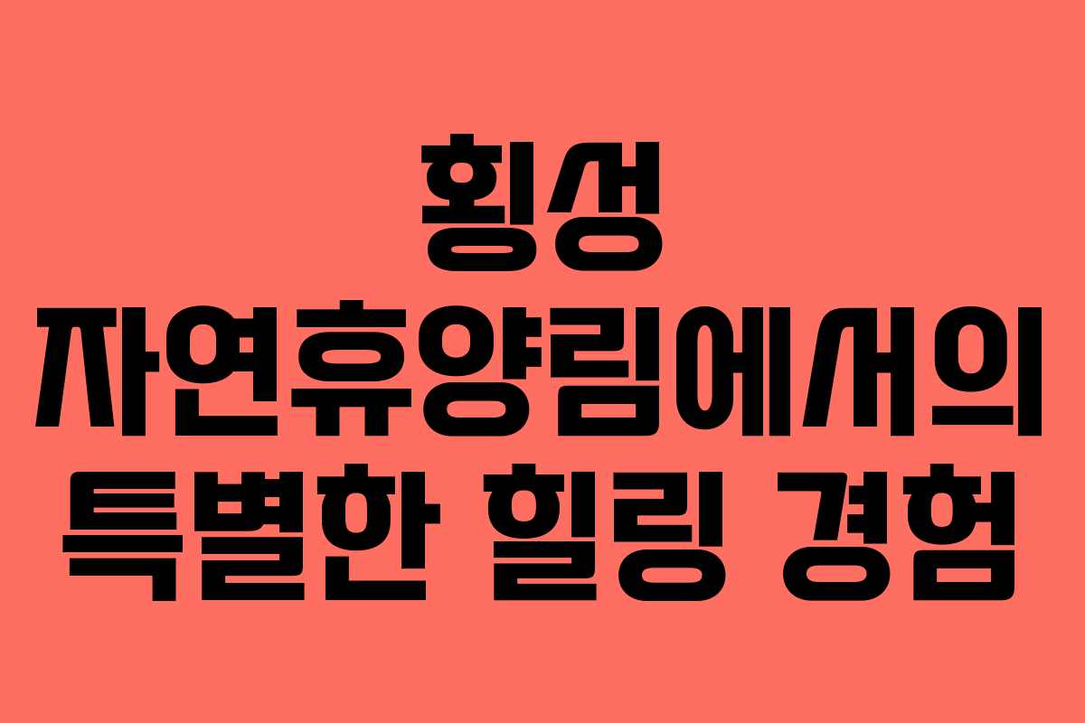 횡성 자연휴양림에서의 특별한 힐링 경험