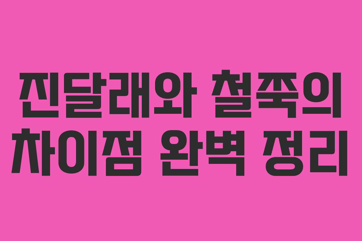 진달래와 철쭉의 차이점 완벽 정리