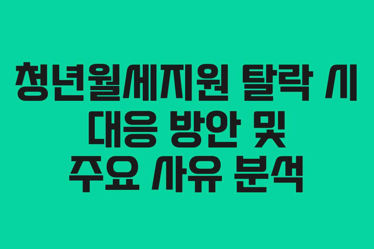 청년월세지원 탈락 시 대응 방안 및 주요 사유 분석