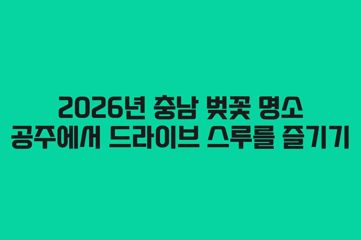 2026년 충남 벚꽃 명소 공주에서 드라이브 스루를 즐기기