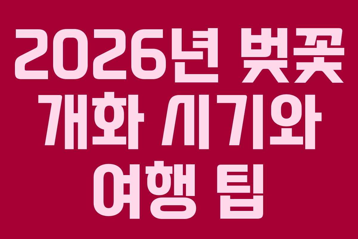 2026년 벚꽃 개화 시기와 여행 팁
