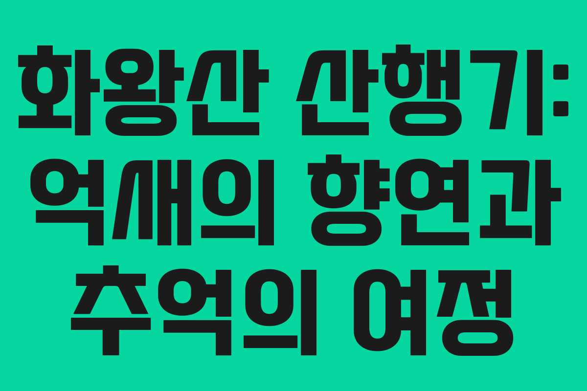 화왕산 산행기: 억새의 향연과 추억의 여정