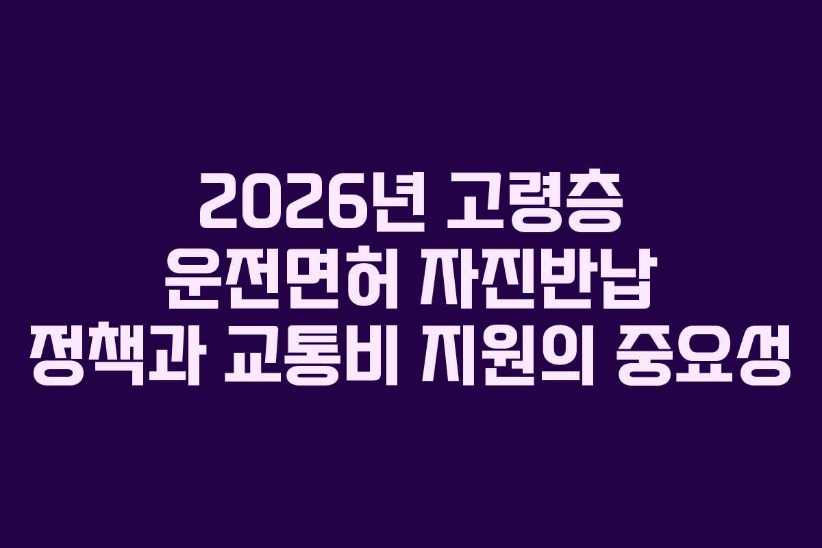 2026년 고령층 운전면허 자진반납 정책과 교통비 지원의 중요성