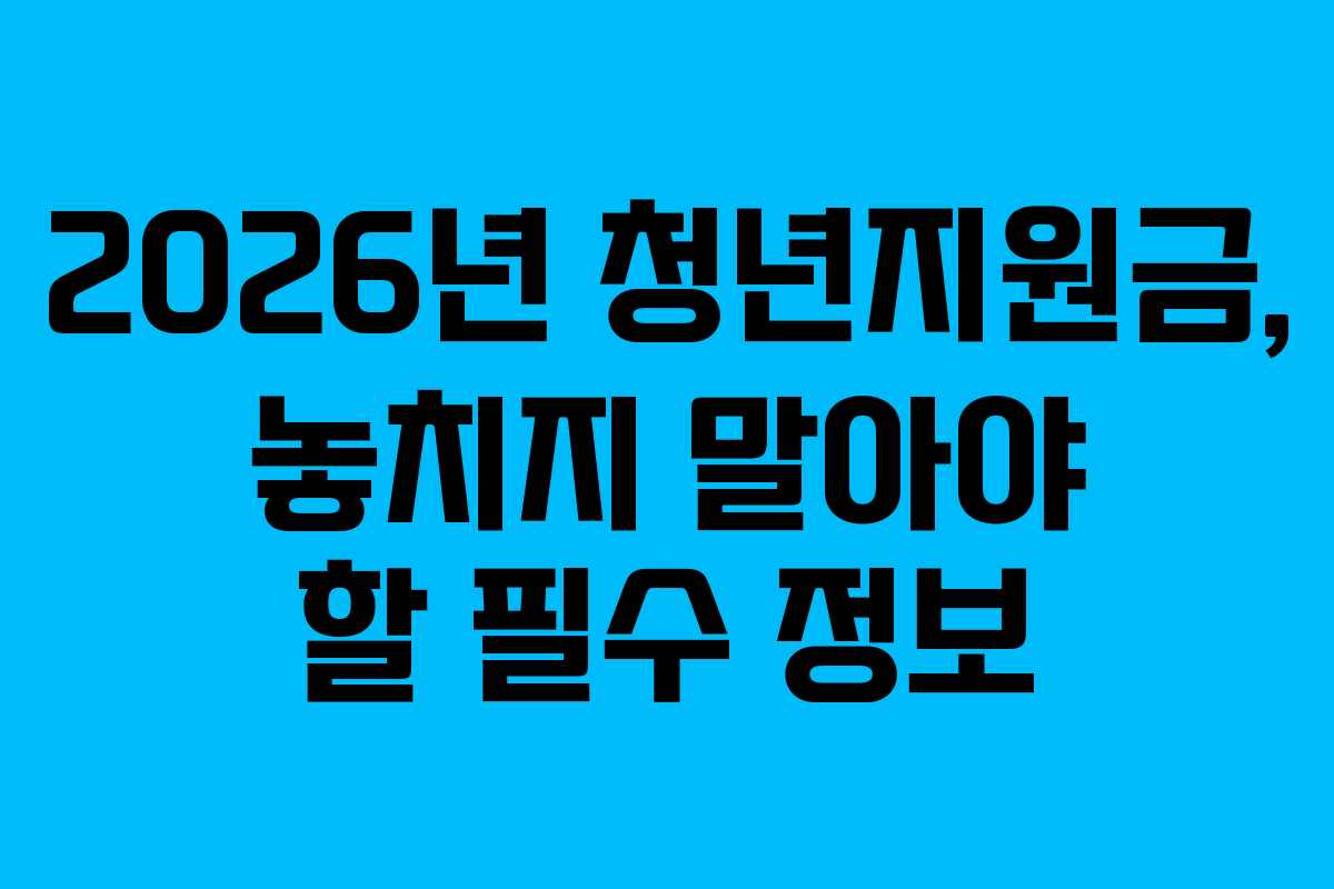 2026년 청년지원금, 놓치지 말아야 할 필수 정보