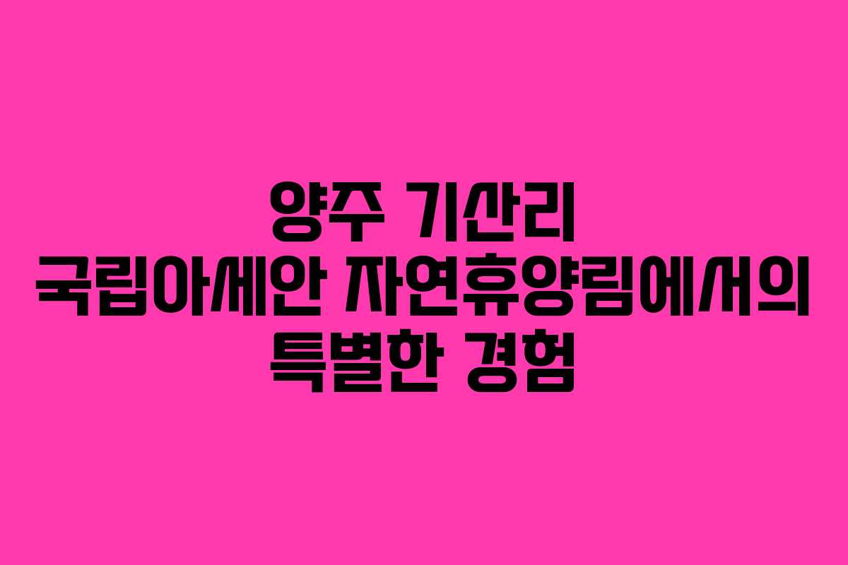 양주 기산리 국립아세안 자연휴양림에서의 특별한 경험