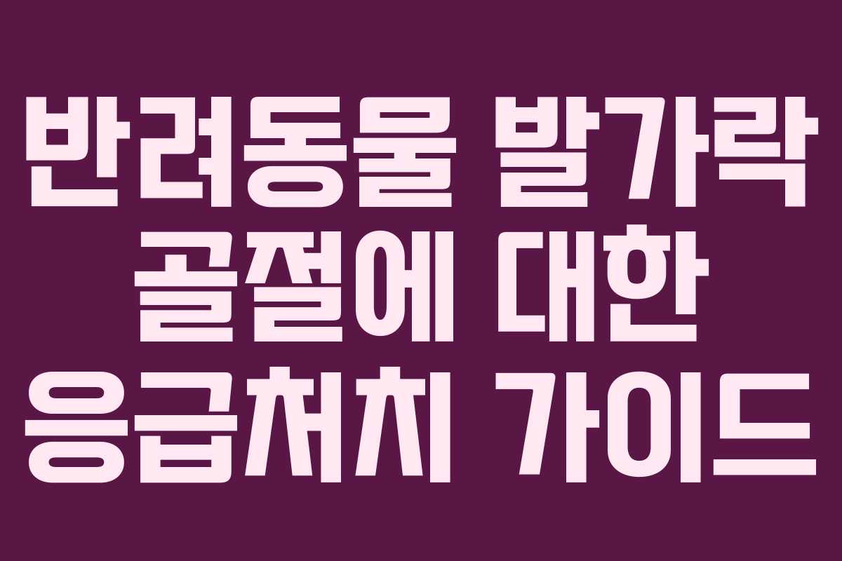 반려동물 발가락 골절에 대한 응급처치 가이드