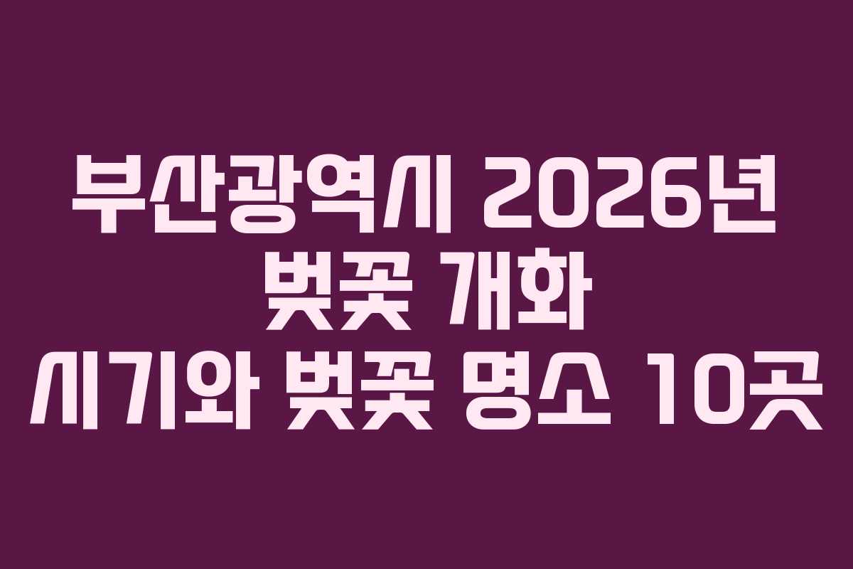 부산광역시 2026년 벚꽃 개화 시기와 벚꽃 명소 10곳