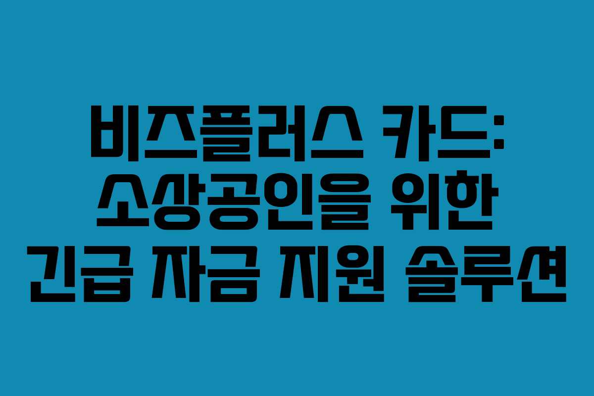 비즈플러스 카드: 소상공인을 위한 긴급 자금 지원 솔루션