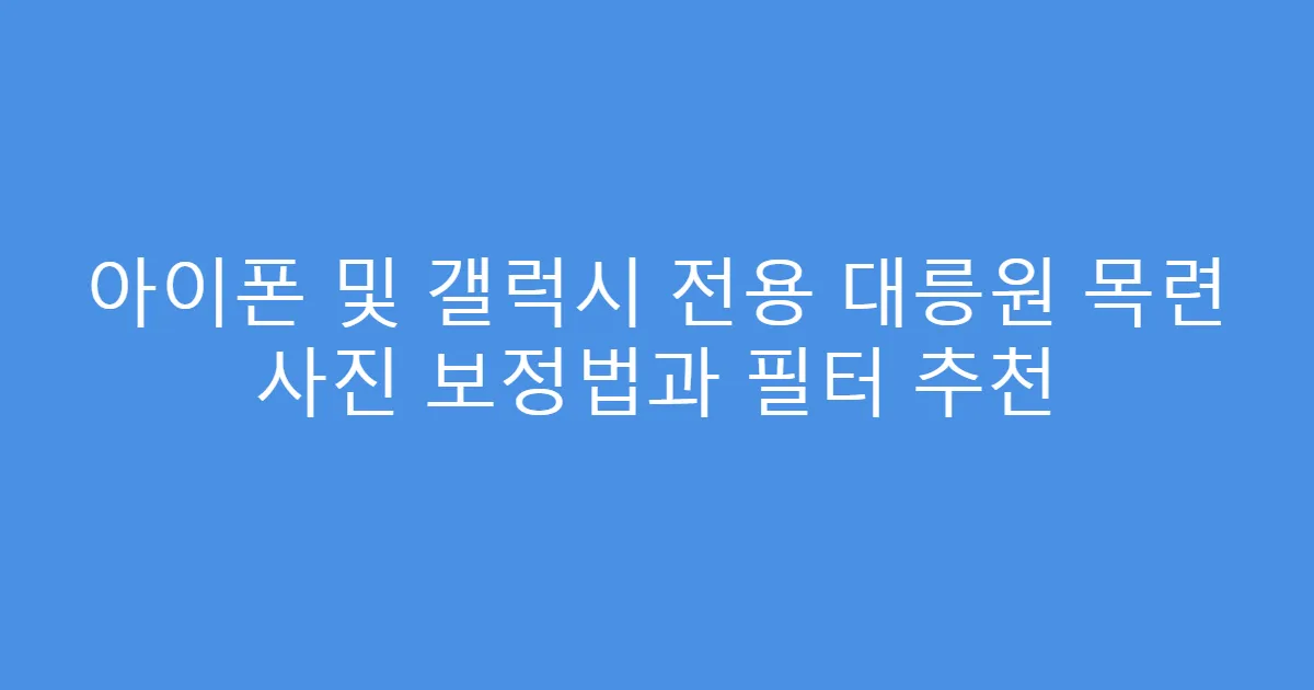 아이폰 및 갤럭시 전용 대릉원 목련 사진 보정법과 필터 추천