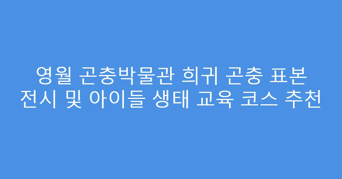 영월 곤충박물관 희귀 곤충 표본 전시 및 아이들 생태 교육 코스 추천