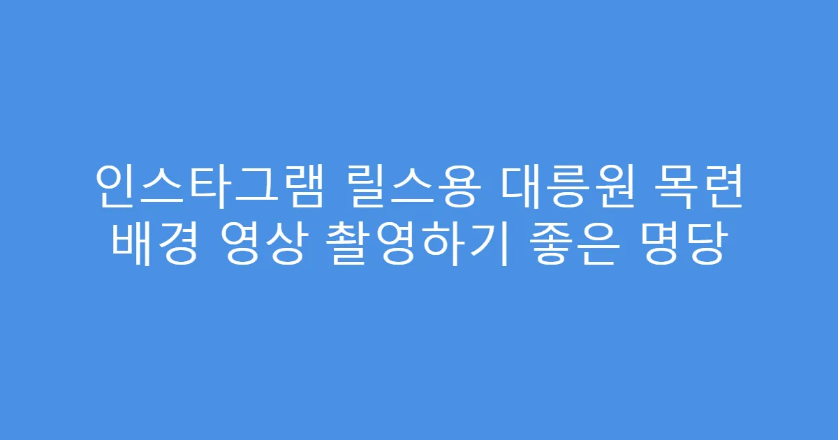 인스타그램 릴스용 대릉원 목련 배경 영상 촬영하기 좋은 명당