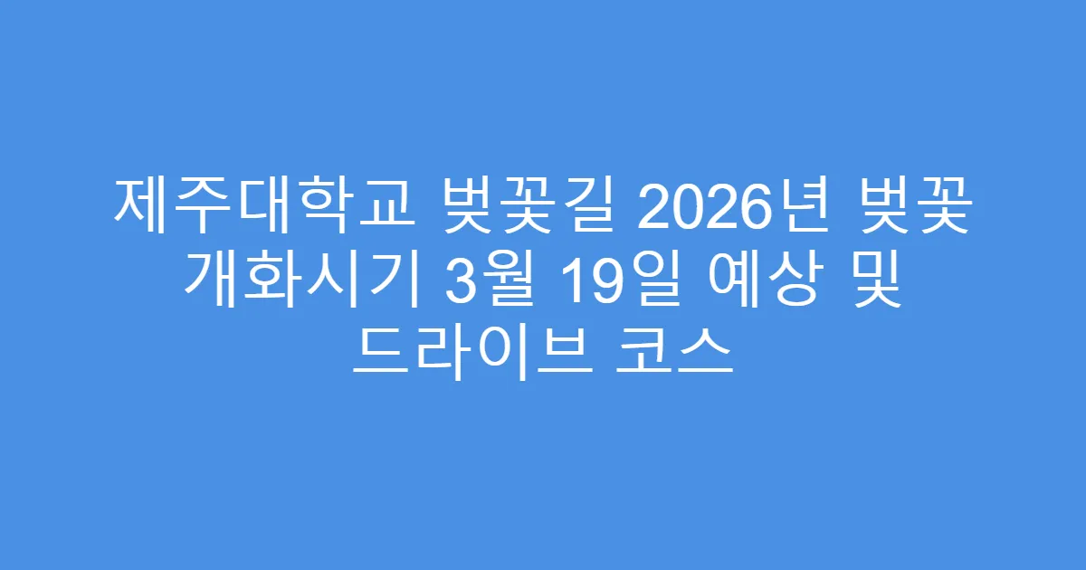 제주대학교 벚꽃길 2026년 벚꽃 개화시기 3월 19일 예상 및 드라이브 코스
