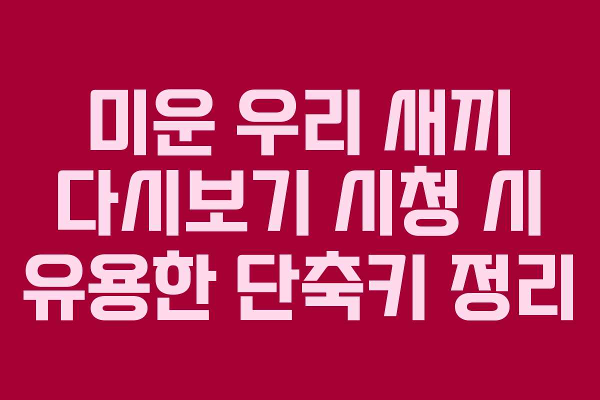 미운 우리 새끼 다시보기 시청 시 유용한 단축키 정리