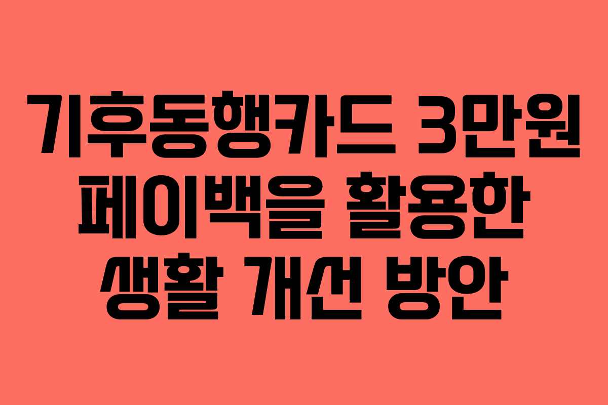 기후동행카드 3만원 페이백을 활용한 생활 개선 방안