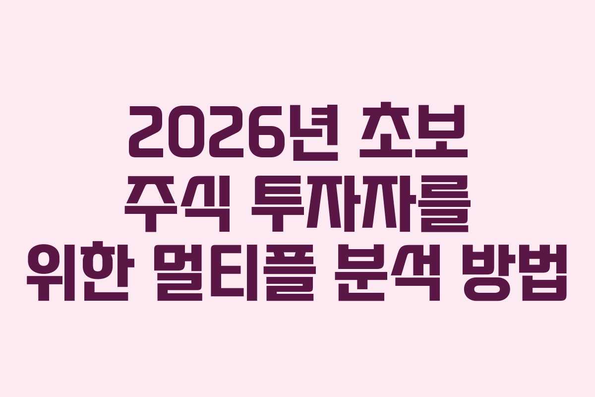 2026년 초보 주식 투자자를 위한 멀티플 분석 방법