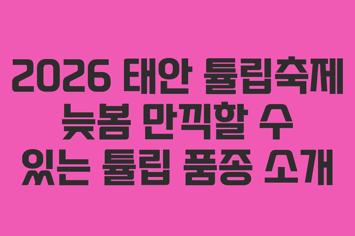 2026 태안 튤립축제 늦봄 만끽할 수 있는 튤립 품종 소개