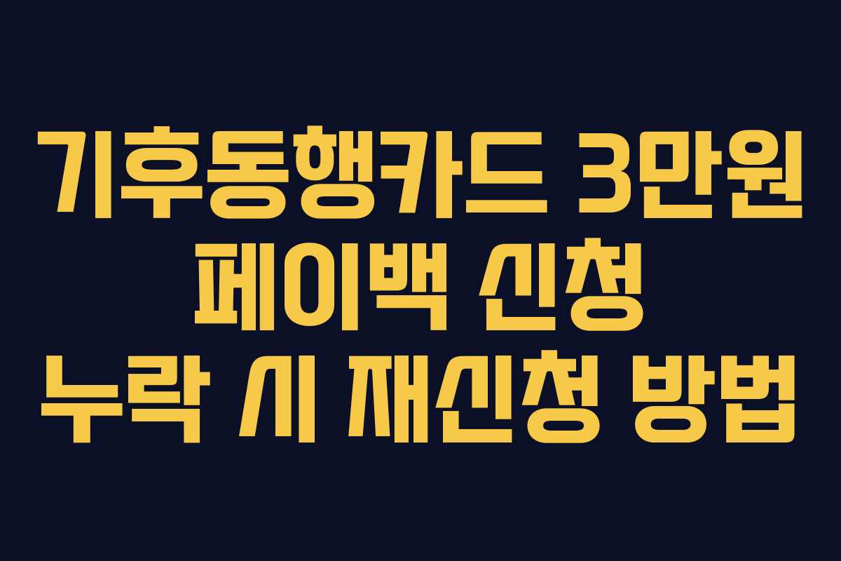 기후동행카드 3만원 페이백 신청 누락 시 재신청 방법