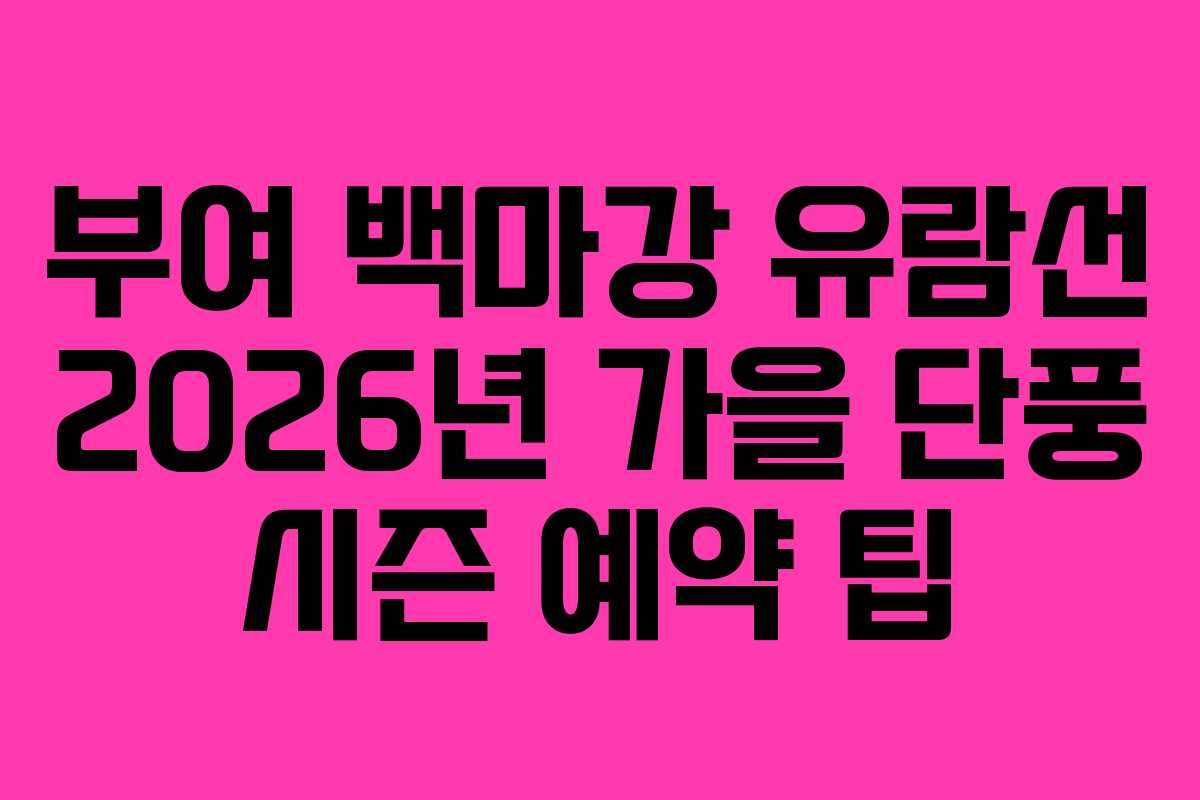 부여 백마강 유람선 2026년 가을 단풍 시즌 예약 팁