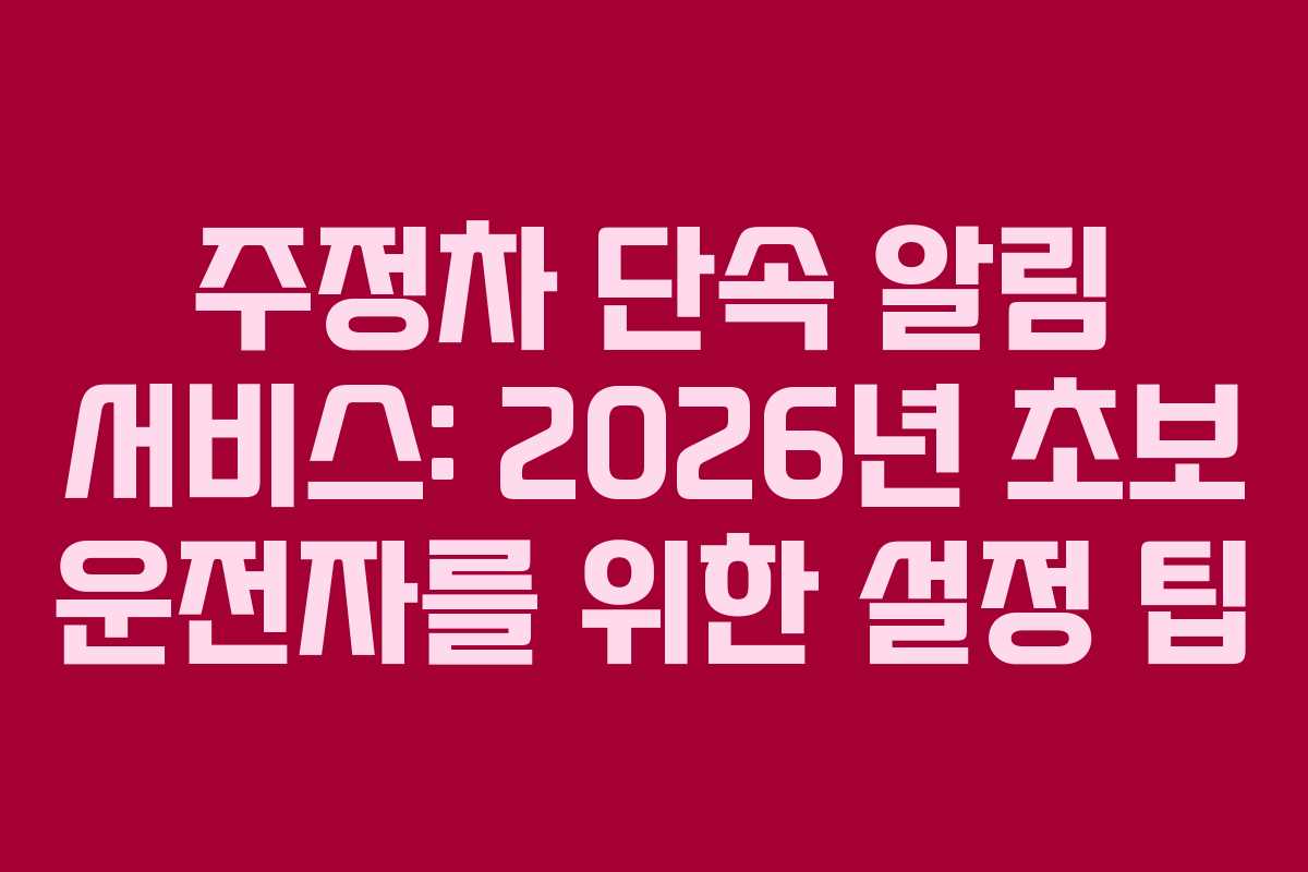 주정차 단속 알림 서비스: 2026년 초보 운전자를 위한 설정 팁