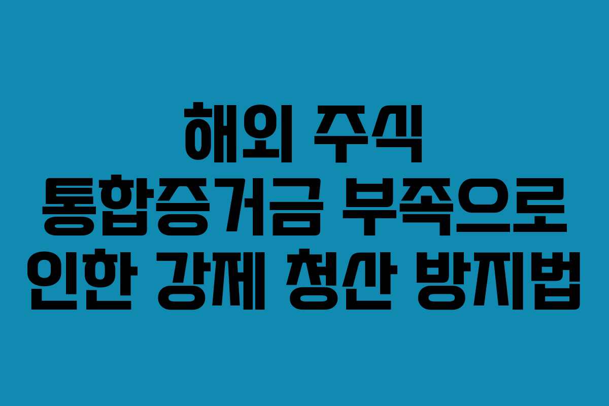 해외 주식 통합증거금 부족으로 인한 강제 청산 방지법