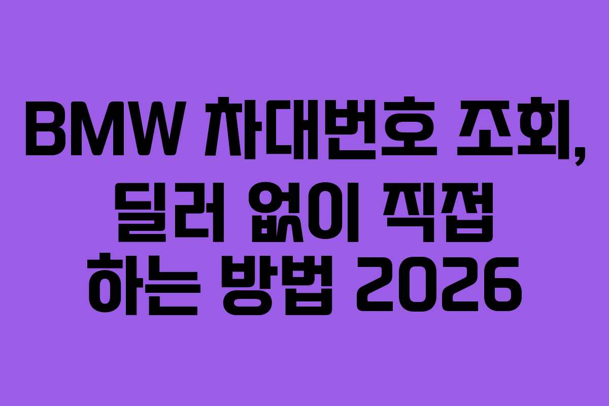 BMW 차대번호 조회, 딜러 없이 직접 하는 방법 2026