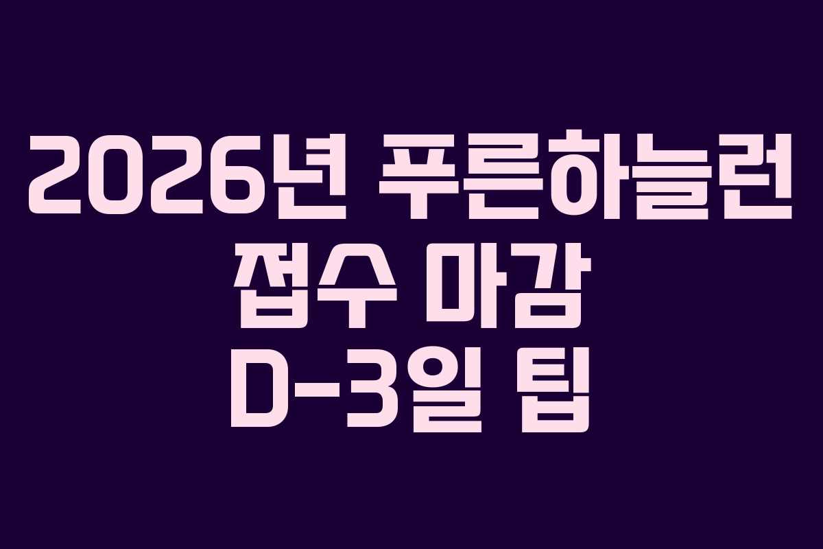 2026년 푸른하늘런 접수 마감 D-3일 팁