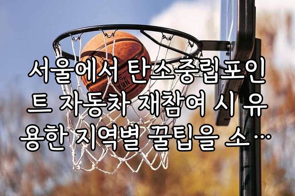 서울에서 탄소중립포인트 자동차 재참여 시 유용한 지역별 꿀팁을 소개합니다