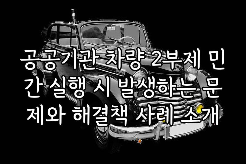 공공기관 차량 2부제 민간 실행 시 발생하는 문제와 해결책 사례 소개