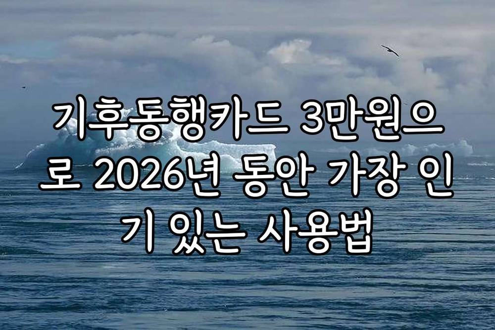 기후동행카드 3만원으로 2026년 동안 가장 인기 있는 사용법