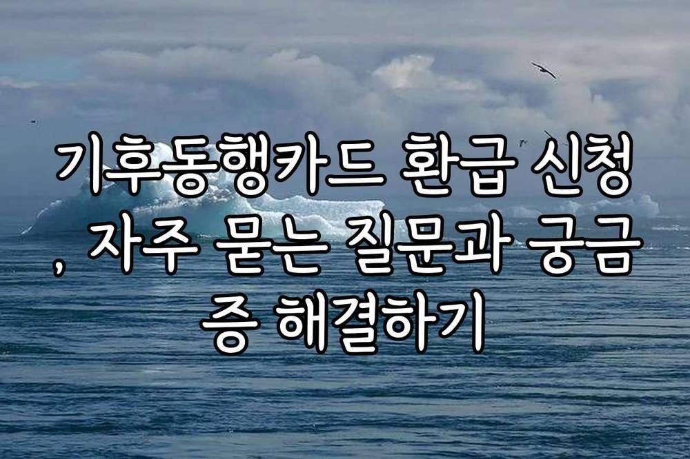 기후동행카드 환급 신청, 자주 묻는 질문과 궁금증 해결하기