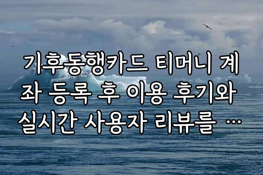 기후동행카드 티머니 계좌 등록 후 이용 후기와 실시간 사용자 리뷰를 살펴보세요