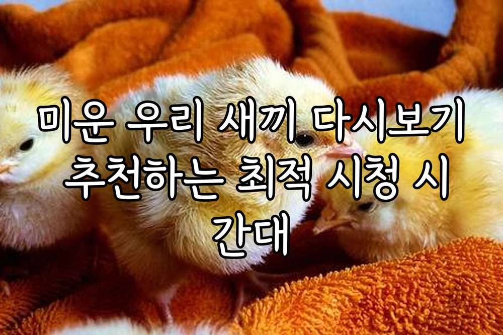 미운 우리 새끼 다시보기 추천하는 최적 시청 시간대