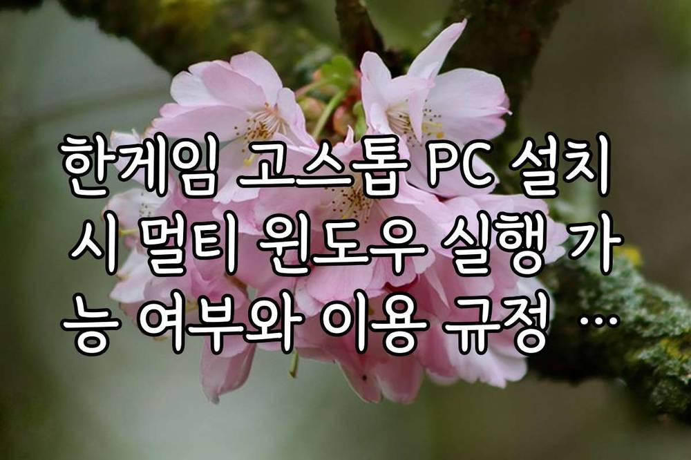 한게임 고스톱 PC 설치 시 멀티 윈도우 실행 가능 여부와 이용 규정 정리