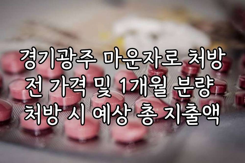 경기광주 마운자로 처방전 가격 및 1개월 분량 처방 시 예상 총 지출액