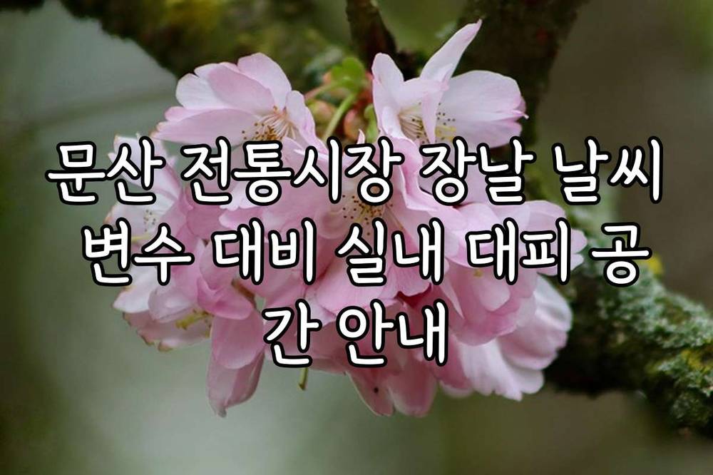 문산 전통시장 장날 날씨 변수 대비 실내 대피 공간 안내