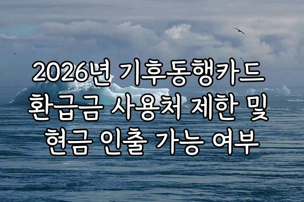 2026년 기후동행카드 환급금 사용처 제한 및 현금 인출 가능 여부