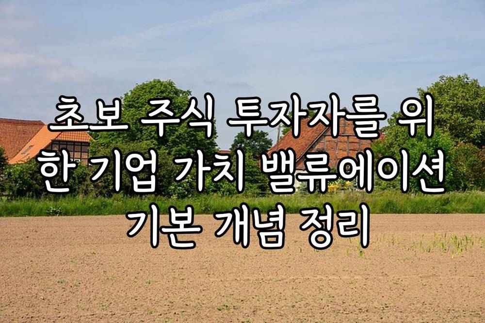 초보 주식 투자자를 위한 기업 가치 밸류에이션 기본 개념 정리