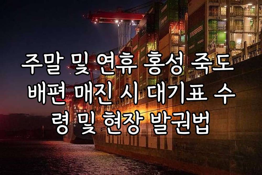 주말 및 연휴 홍성 죽도 배편 매진 시 대기표 수령 및 현장 발권법